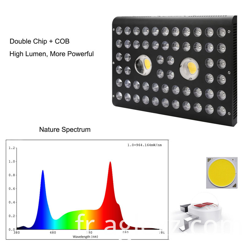 les épis poussent la lumière cob grow light